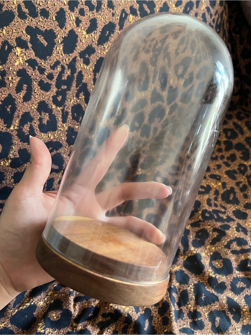 Clear Glass Display Dome with Brown Wood Base